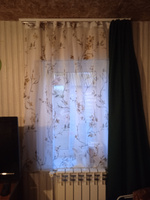 Curtain & Textile Тюль высота 140 см, ширина 150 см, крепление - Лента, Белый,светло-коричневый #47, Ирина Т.