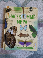 Насекомые мира. Детская энциклопедия | Сочивко Андрей Владимирович #3, Роман