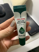 FARMSTAY Восстанавливающий Бальзам для Губ с Центеллой азиатской Cica Farm Nature Solution Lip Balm 10 мл #7, Анна Н.