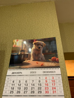 Календарь настенный квартальный трехблочный отрывной на 2024 год, 3 блока 3 гребня с бегунком, мелованная бумага, Милые котёнок и собачка, Europrint #7, Ирина И.