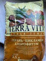 Живая Земля Герань, Цикламен - Хлорофитум, 2,5 л. Питательный Грунт Terra Vita для глоксиний, плющей, фатсий #3, Светлана К.