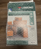 Lomond Этикетка для печати 21 x 29,7 см, 1 шт. #4, Елена Г.