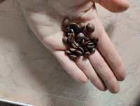 Кофе в зернах TRE VENEZIE Caffe Espresso Bar, 2 кг, темной обжарки (4 из 5) зерновой со сливочным оттенком, смесь арабики и робусты, Италия, натуральный жареный/ Набор (2 упаковки по 1000 гр) #8, Людмила С.