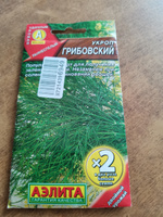 Укроп "Грибовский" семена Аэлита зелень для дома, балкона, подоконника и огорода, 6 гр #31, Мария