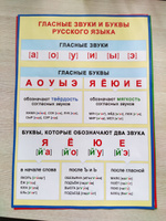 Обучающие плакаты для начальной школы и детского сада "Слоговая таблица, согласные и гласные буквы и звуки русского языка, алфавит", комплект из 4 обучающих плакатов #15, Юлия С.