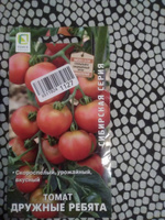 Семена томатов "Дружные ребята", 12 шт, для дома, дачи и огорода, в открытый грунт, в контейнер, на рассаду, помидоры из семян. #29, олег т.