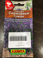 Лаванда Сиреневый туман, семена цветов Аэлита 0,1г #103, Наталья Ч.