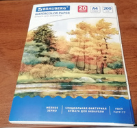 Бумага для акварели А4, 20 л., 200 г/м2, 210х297 мм, Brauberg, Осенний лес #72, Ника