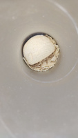 Чипсы картофельные Pringles Flame Kickin' Sour Cream ("Убойный вкус сметаны") 9 штук по 160 грамм (Бельгия) #1, Алина С.