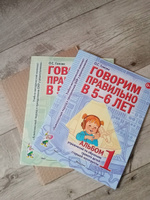 Говорим правильно в 5-6 лет.Гомзяк О.С. Альбом 2 Упражнений по обучению грамоте детей старшей логогруппы. Гном. О.С. Гомзяк | Гомзяк Оксана Степановна #2, Алена