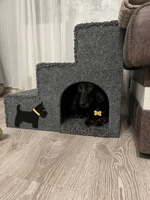 Лестница для собак и кошек полностью из ДСП + ковролин с уютным домиком (55*44*46 - д*ш*в) #5, Ульяна Ц.