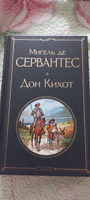 Дон Кихот | Мигель де Сервантес Сааведра #23, Татьяна Г.