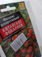 Семена Физалис декоративный Китайские Фонарики, 2 пакетика по 0,2г/120шт #11, Ирина П.