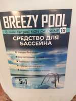 BREEZY POOL/Средство для очистки и дезинфекции воды в бассейнах 10л #36, Александр В.