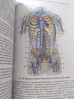 Анатомия человека (цветной атлас): 2 издание | Билич Габриэль Лазаревич, Зигалова Елена Юрьевна #3, Елена К.