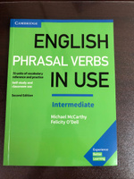 English Phrasal Verbs in Use Intermediate | McCarthy Michael #3, Илья Ш.