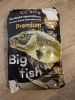 Пылящая Premium прикормка для рыбалки Big Fish от БК Baits Корица #50, Елена