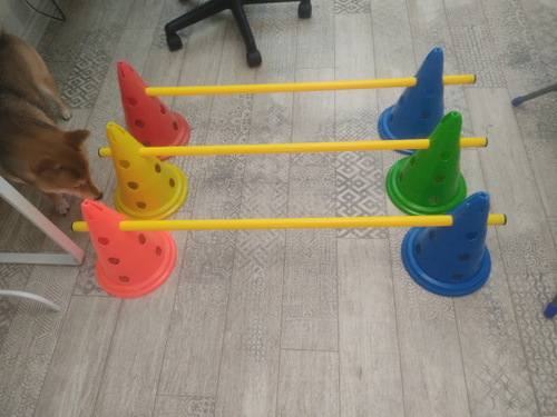 .Набор препятствий для аджилити Dog Activity, Trixie (10конусов 30 см ...