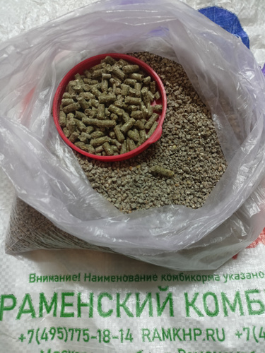 Комбикорм 10 КГ. ПК-1 П для взрослых яичных перепелок - 1 мешок (крупка ...