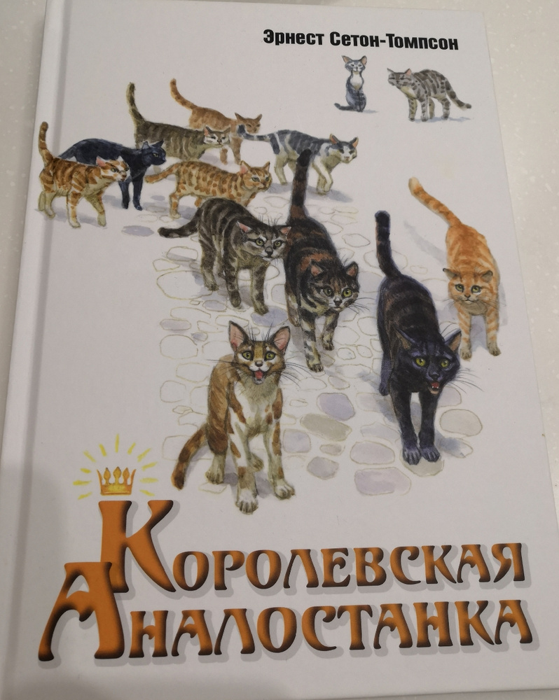 Королевская аналостанка рисунки