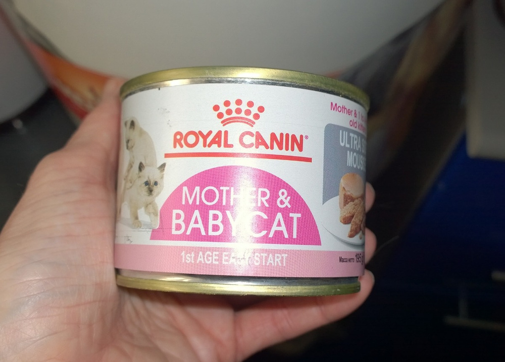 Авито корм для кошек. Консервы для котят Роял Канин mother Babycat. Купить Royal Canin mother Babycat консервы. Mother & Babycat консервы Роял Канин для котят купить. Купить Royal Canin mother Babycat консервы ingredients.