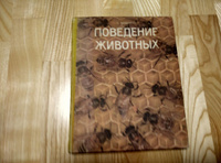 Поведение животных | Тинберген Николас #1, Владислав