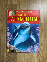 Киты и дельфины. Детская энциклопедия. Познавательная книга о природе для младших школьников | Дэвидсон Себастьян #1, Андрей