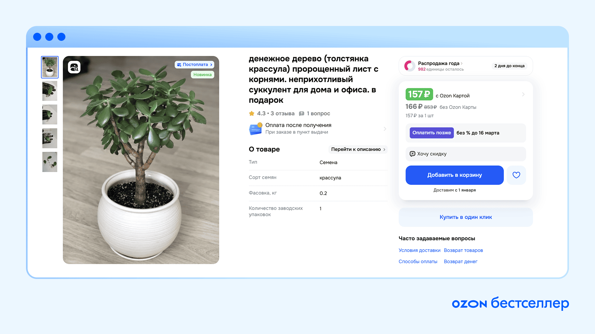Кошки-мышки, денежные жабы и деревья: талисманы для бизнеса и как на них заработать