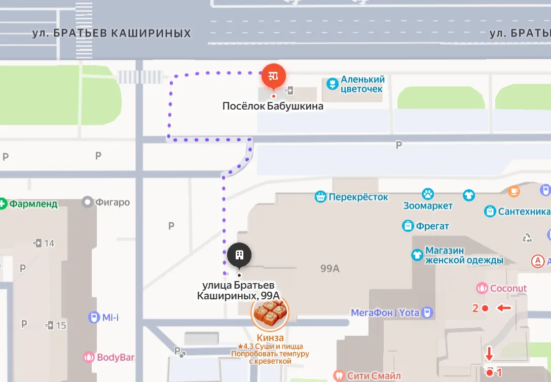 DarkStore Чайковского