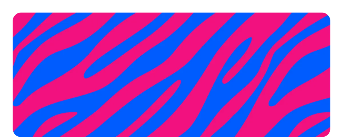 The main Zebra pattern