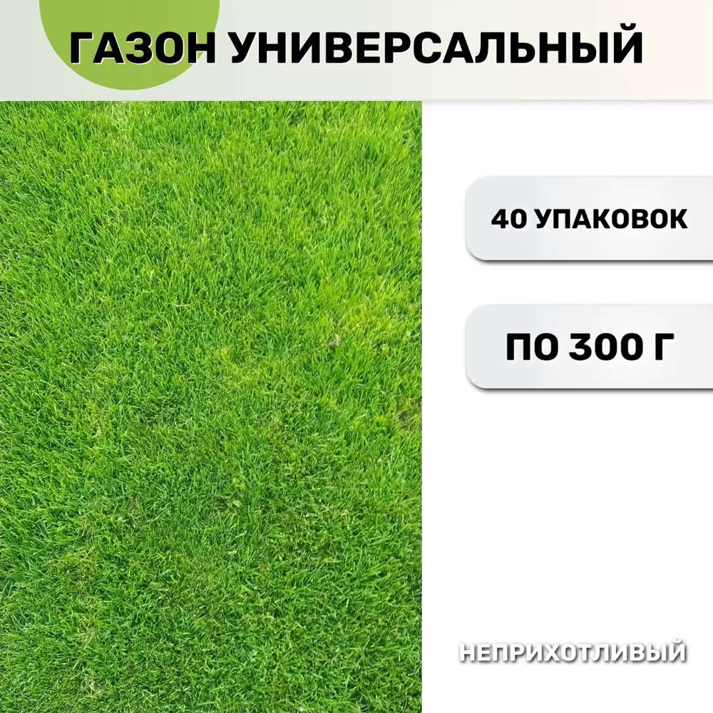 Фестулолиум – уникальная газонная трава для выращивания идеального газона - описание, фото, характеристики и особенности выращивания Фестулолиум: описание газонной травы, фото, характеристики, особенности выращивания для газона