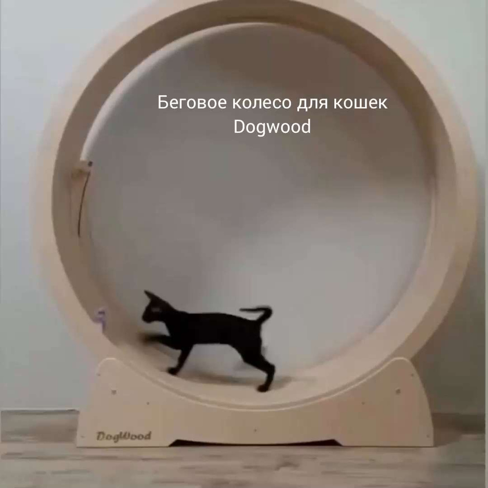 Беговое колесо для кошек