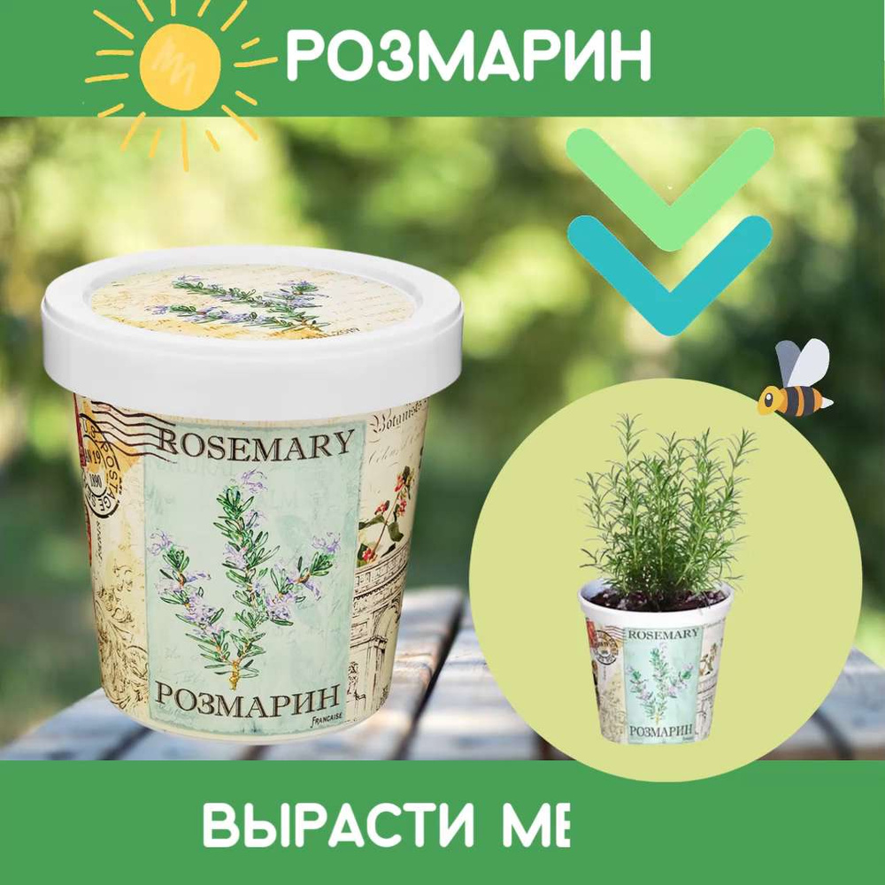 Набор для выращивания RostokVisa, Розмарин, Многолетник купить по выгодной  цене в интернет-магазине OZON (231948623)