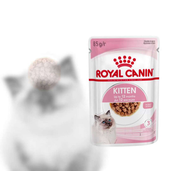 Royal canin best sale pediatric weaning