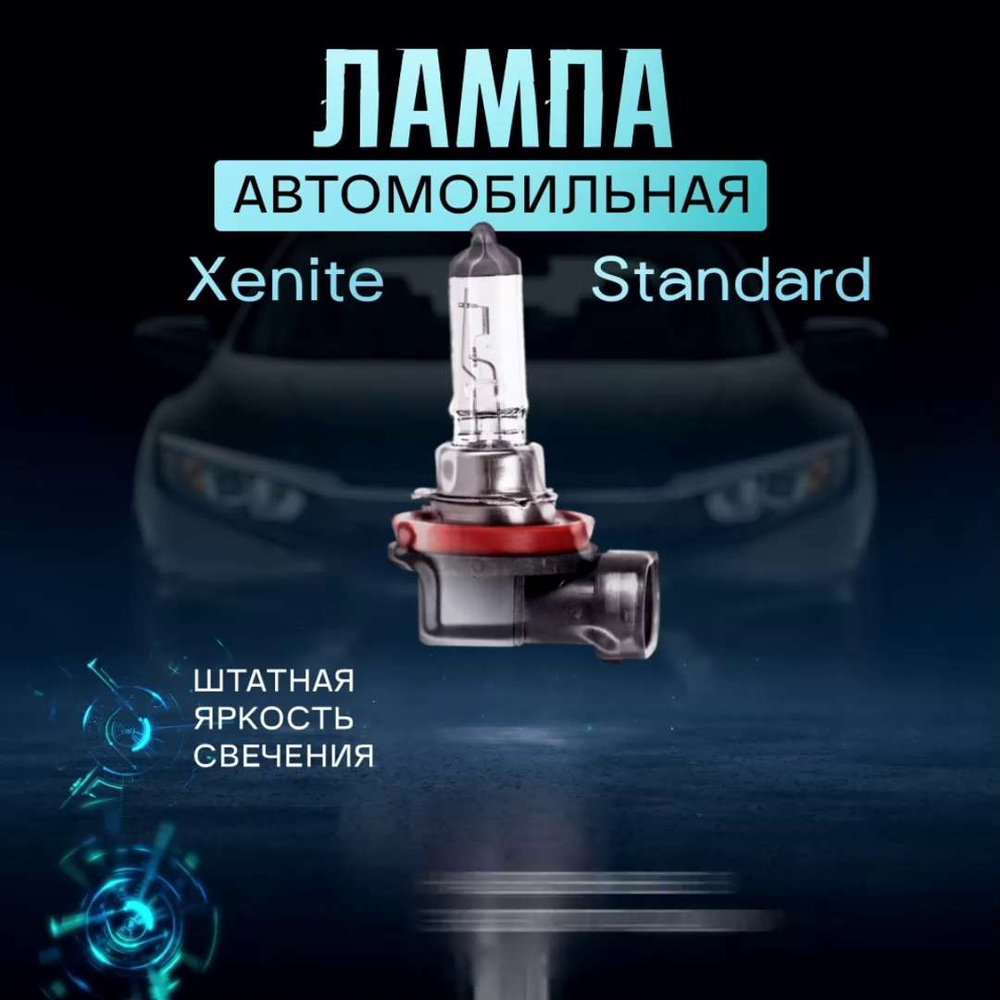 Лампа автомобильная Xenite 12 В, 2 шт. купить по низкой цене с доставкой в  интернет-магазине OZON (273319048)