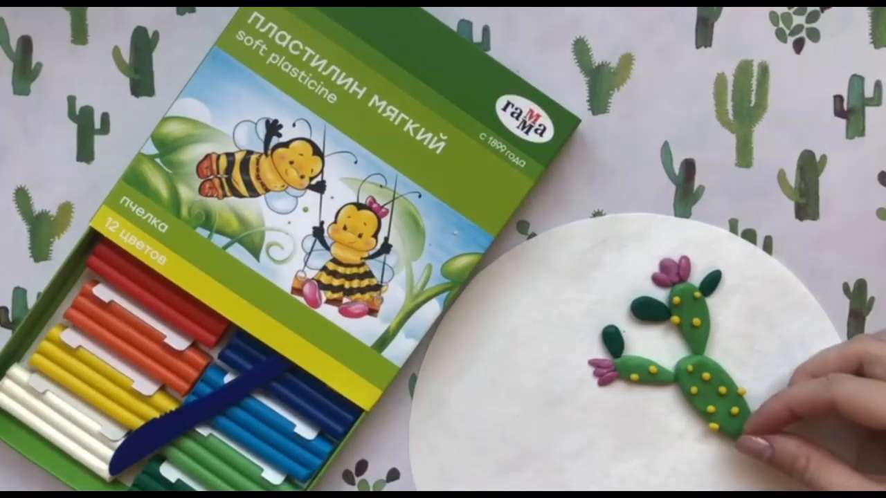 24 24