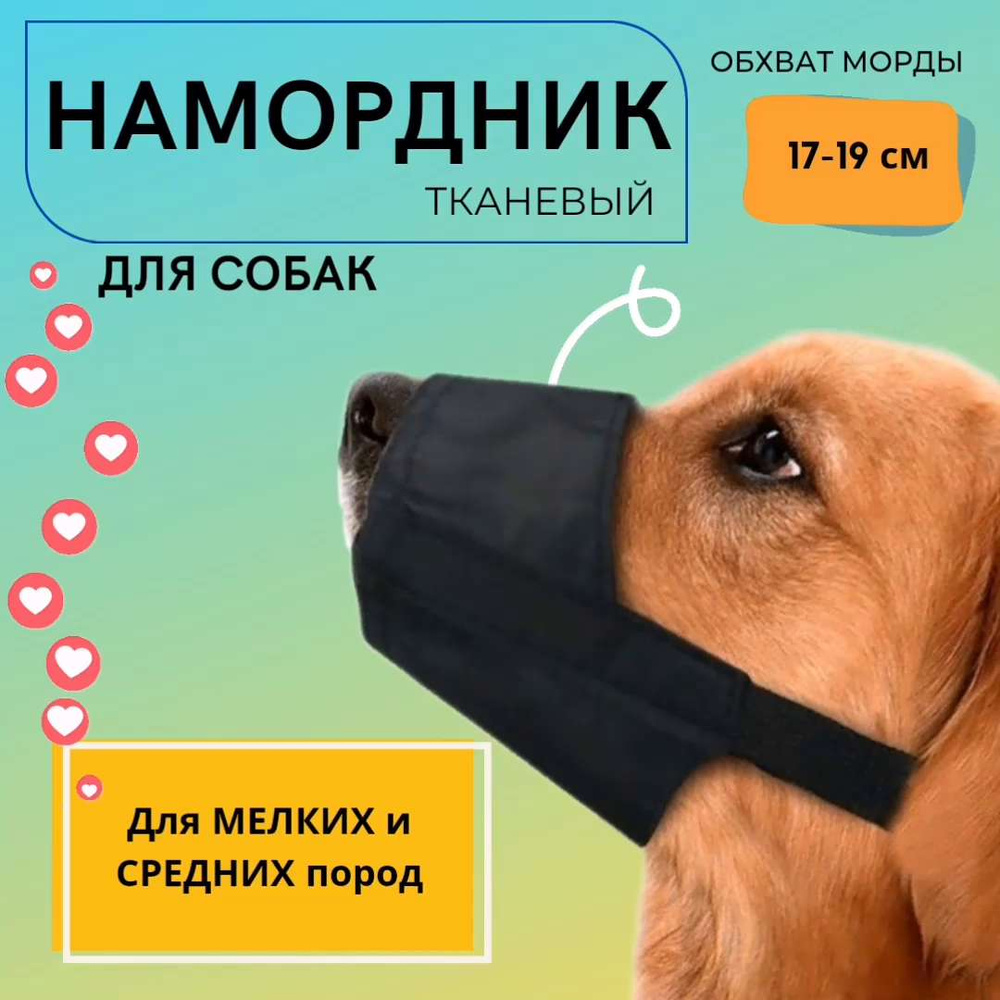 Намордник кожаный цельнокроеный для мелких пород собак (шпиц), микс