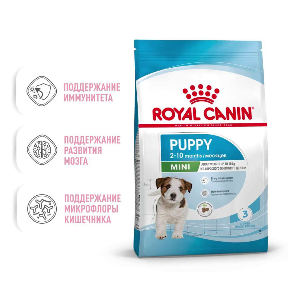 Сухой корм для щенков мелких пород до 10 месяцев Royal Canin Mini Puppy, с  птицей, 2 кг - купить с доставкой по выгодным ценам в интернет-магазине  OZON (135965098)