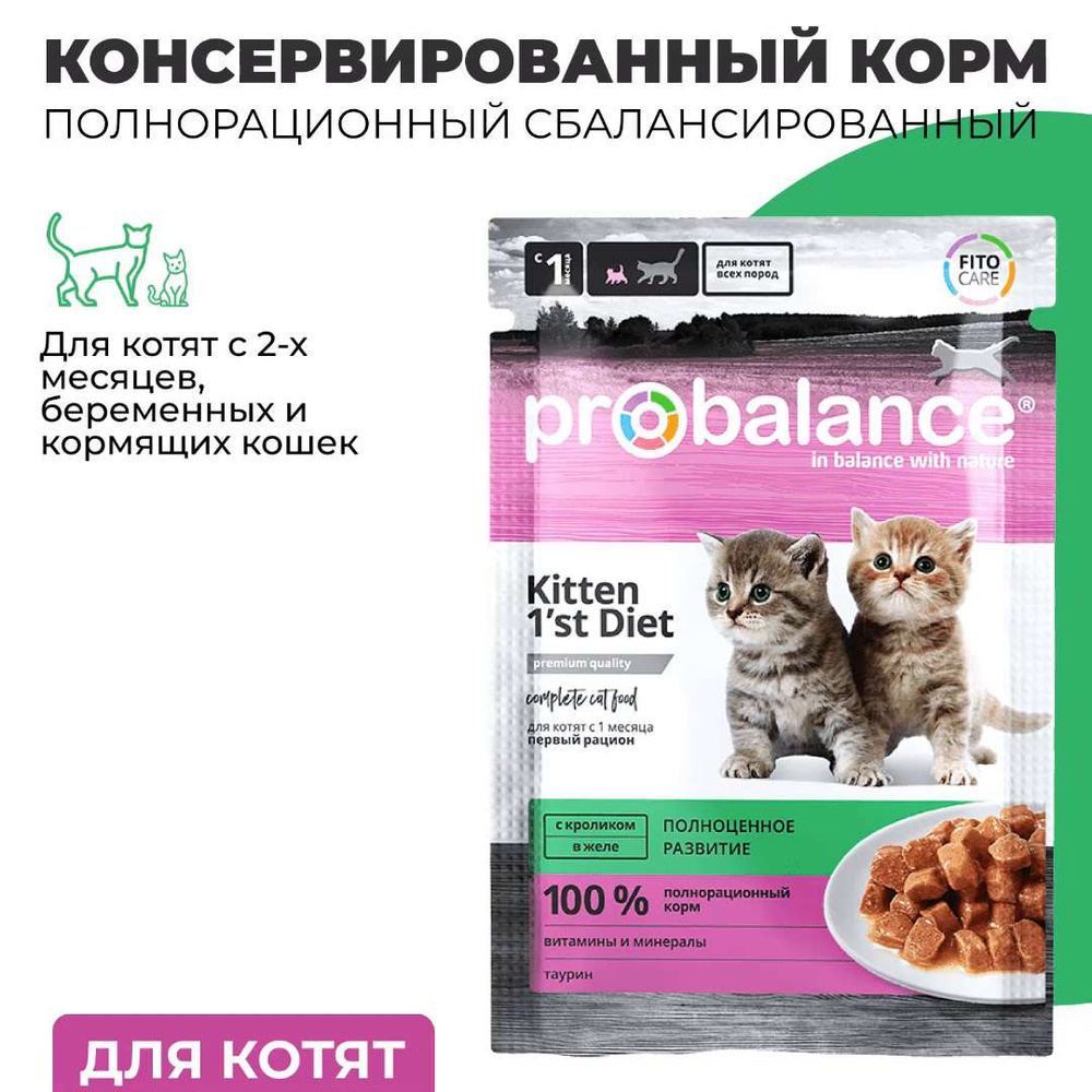 Консервированный корм для котят Probalance Kitten 1st Diet с кроликом, 85  г х 25 шт. - купить с доставкой по выгодным ценам в интернет-магазине OZON  (802567967)
