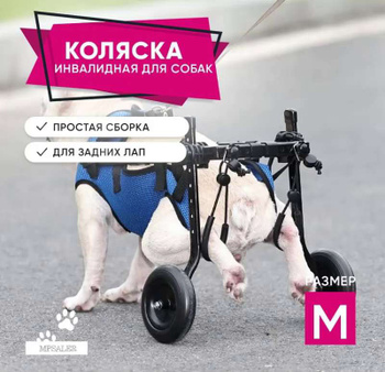 Фонд помощи животным ОБЩИЙ МИР's videos | VK