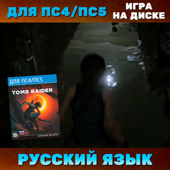 Игра Tomb Raider: Definitive Edition (Playstation 4 – купить в  интернет-магазине OZON по низкой цене