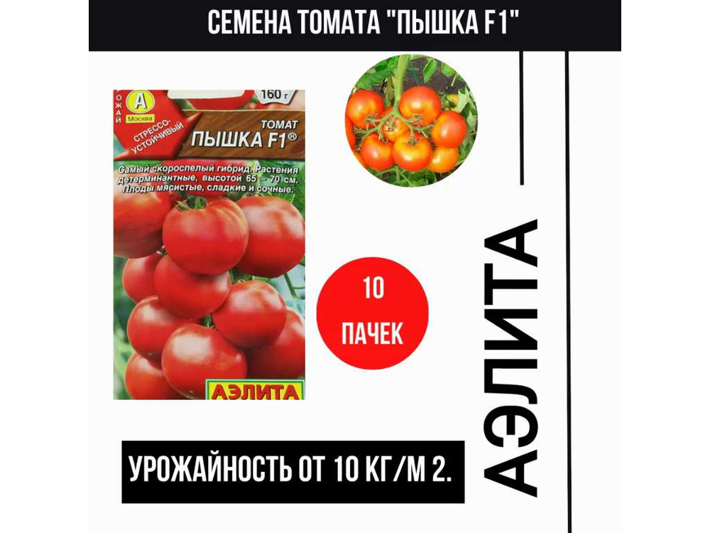 Семена Тыква F1 Румяная пышка : описание сорта, фото - купить с доставкой или почтой России