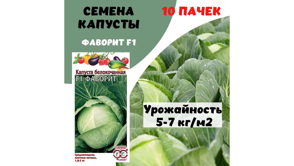 Капуста семена_капуста_гавриш - купить по выгодным ценам винтернет-магазине OZON (1234045541)