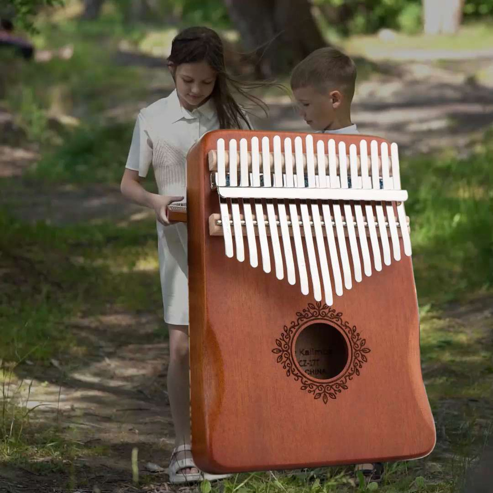 Калимба музыкальный инструмент 17 нот, до мажор, Kalimba в ударопрочном  кейсе - купить с доставкой по выгодным ценам в интернет-магазине OZON  (373406167)