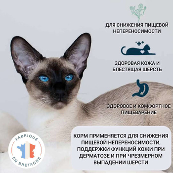 Корма для кошек сухие Flatazor (Флатаэзор) – купить кошачий корм сухой на  OZON по низкой цене
