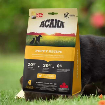 Acana heritage adult outlet dog