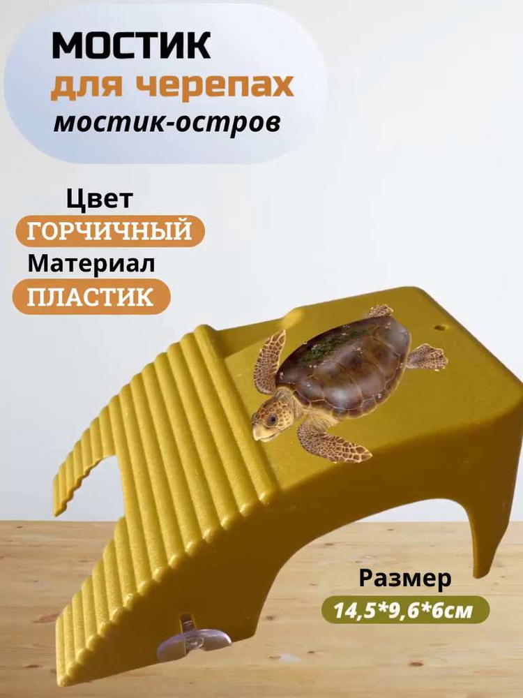 Плотики для черепах