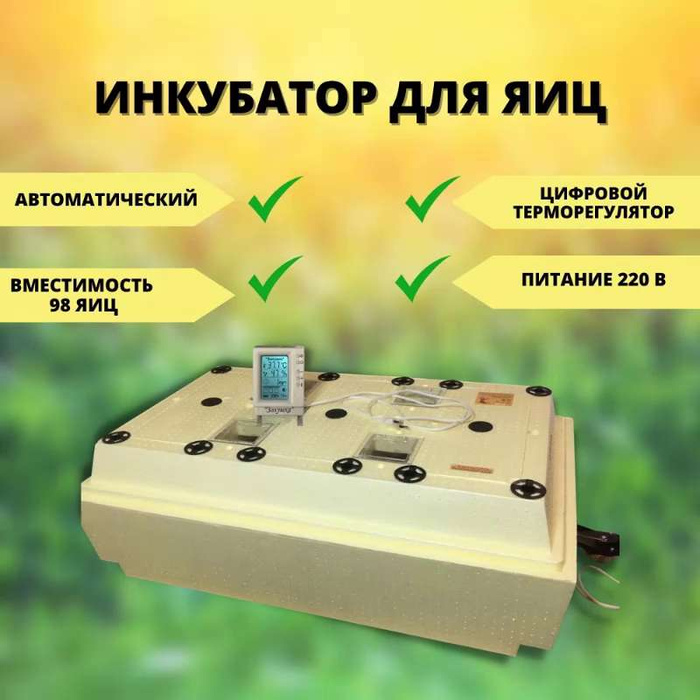 Инкубатор золушка 2020 на 98 яиц. Инкубатор золушка 2020. Инкубатор золушка 2020 на 98 яиц. Инкубатор золушка 2020. Инкубатор золушка 70 яиц.