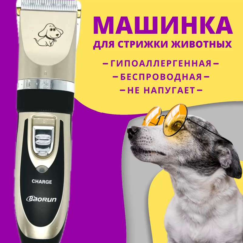 Стрижка мальтипу