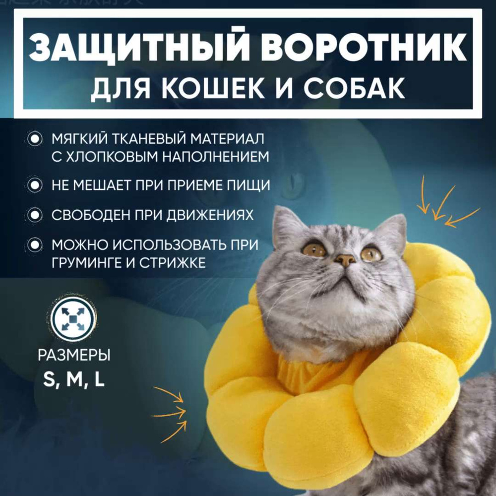 Воротник для кошек и его назначение | Ветеринарная аптека Добропесик